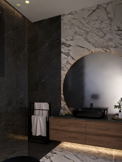 Project rendering 14